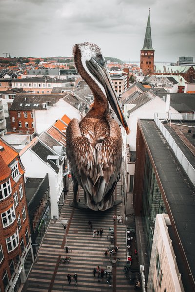 Ciudad del Pelícano Gigante de Marcus Hennen