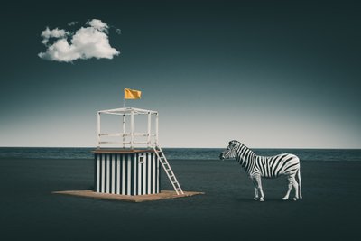 La cebra de la playa surrealista de Marcus Hennen