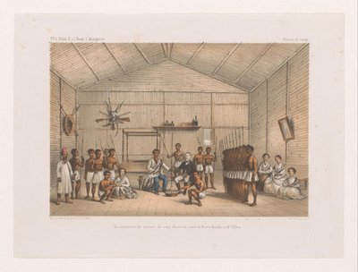 Visita al Príncipe Ratsiba y Ceremonia del Juramento de Sangre La ceremonie du serment du sang (Fatidrah), entre le Prince Ratsiba et Mr. Sondeo (título en objeto) Viaje de François P.L. Polen a Madagascar (título de la serie) F.P.L. Polen R.s. yo Fauna D. de Marcus Jacob Goedkind