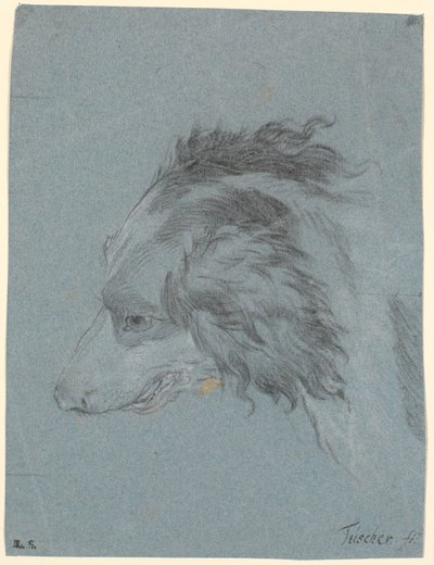 Cabeza de perro de Marcus Tuscher