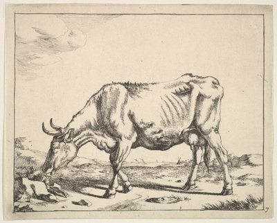Vaca, después de Paulus Potter de Marcus de Bye