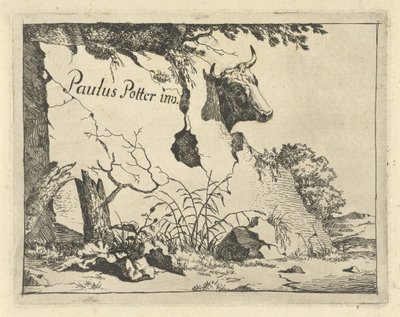 Cabeza de ternera detrás de roca Bovinos y porcinos (título de la serie) de Marcus de Bye
