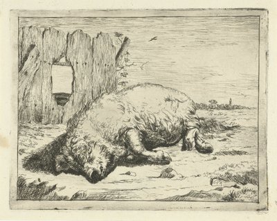 cerdo mentiroso Bovinos y porcinos (título de la serie) de Marcus de Bye