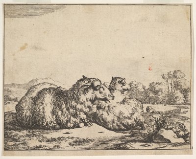 Ovejas, de un conjunto de 16 láminas, 1664 de Marcus de Bye