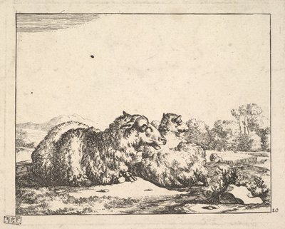Ovejas, de un conjunto de 16 láminas, 1664 de Marcus de Bye