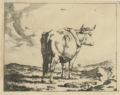 Vaca de pie, vista desde atrás Ganado (título de la serie) de Marcus de Bye