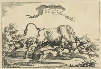 Toro atacado por tres perros de caza Perros de caza (título de la serie) de Marcus de Bye