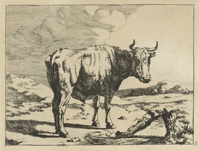 toro, posición, por, tocón de árbol Vacas y ovejas (título de la serie) de Marcus de Bye