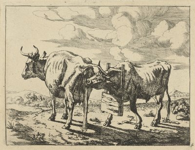 Dos vacas de pie
Vacas y ovejas (título de la serie) de Marcus de Bye