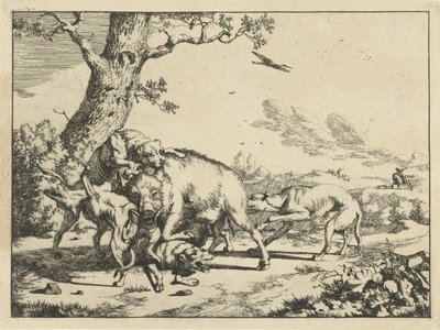 Jabalí atacado por cuatro perros de caza Perros de caza (título de la serie) de Marcus de Bye