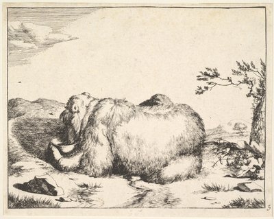 de La serie de los osos de Marcus de Bye