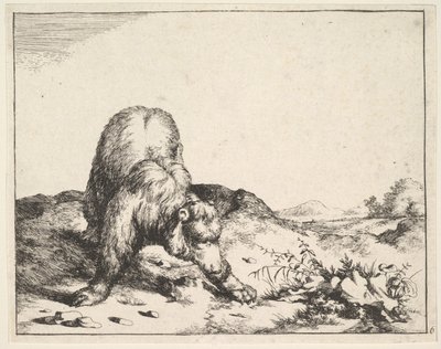 de El conjunto de los osos de Marcus de Bye