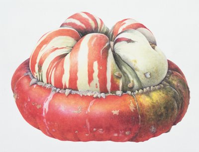 Calabaza de turbante turco, 1995 de Margaret Ann Eden