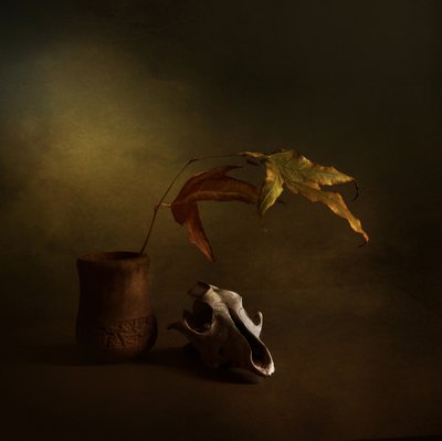 Naturaleza muerta de otoño oscuro de Margaret Halaby