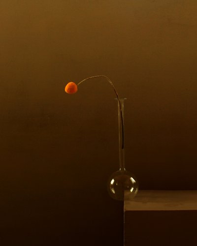 Flor de naranjo minimalista de Margaret Halaby