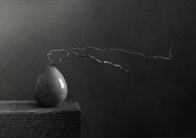 Pera y rama en blanco y negro de Margaret Halaby