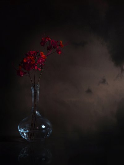 Flores rojas melancólicas de Margaret Halaby