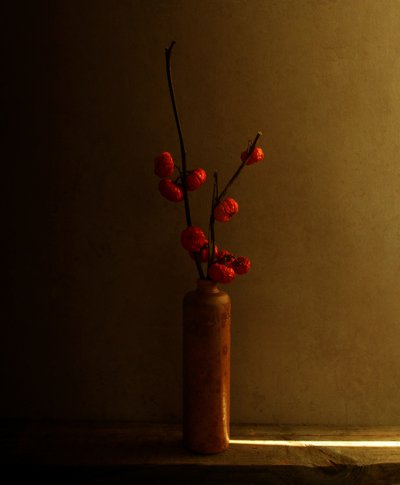 Naturaleza muerta con bayas rojas de Margaret Halaby