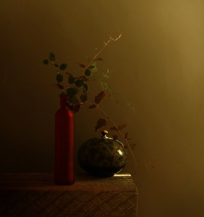 Naturaleza muerta con botella roja oscura de Margaret Halaby