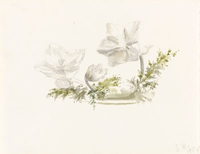 Estudio de un arreglo floral (grafito, acuarela) de Margaret Louisa Herschel