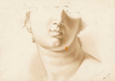 Estudio de la mitad inferior de un rostro humano, posiblemente una estatua de Margaret Louisa Herschel