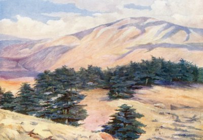 Vista general de los cedros y Dehr el Kodib (litografía en color) de Margaret Thomas
