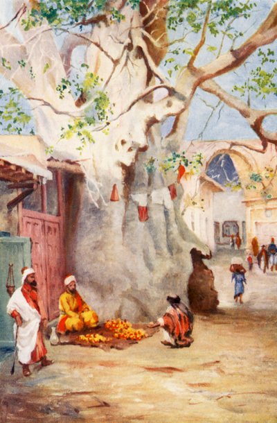Gran Plátano en el Bazar, Damasco (litografía en color) de Margaret Thomas