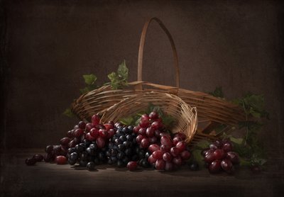 Uvas de viñedo en abundancia de Margareth Perfoncio