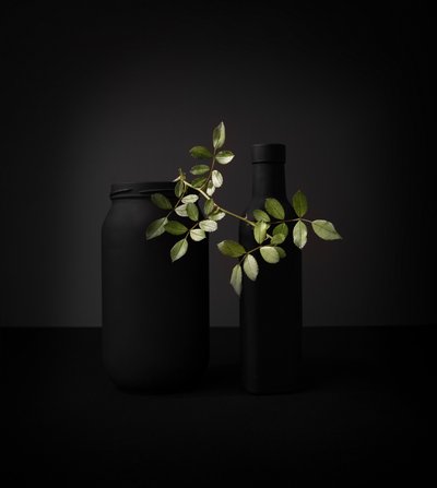 Objetos negros, rama verde de Margareth Perfoncio