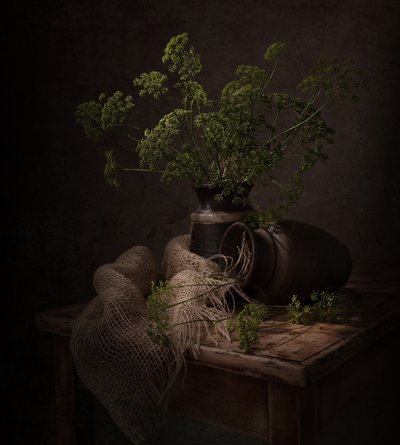 Naturaleza muerta botánica oscura de Margareth Perfoncio