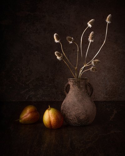  de Margareth Perfoncio