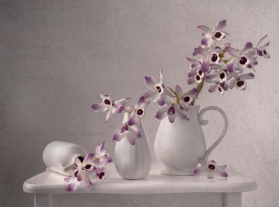 Delicado bodegón de orquídeas de Margareth Perfoncio
