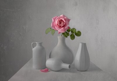 Naturaleza muerta con una delicada rosa rosa de Margareth Perfoncio
