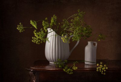 Naturaleza muerta con flores de eneldo de Margareth Perfoncio
