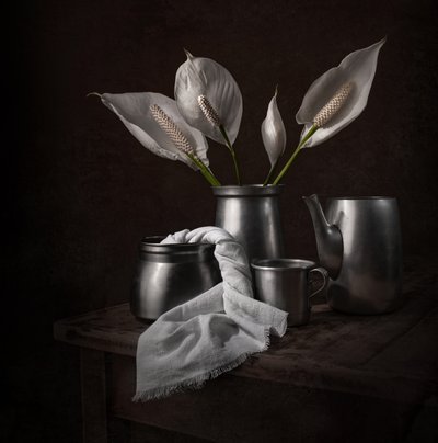 Elegantes lirios de la paz de Margareth Perfoncio