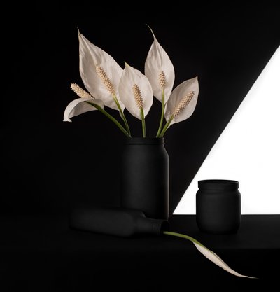 Elegante contraste con el lirio de la paz de Margareth Perfoncio