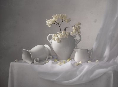 Elegante naturaleza muerta en blanco de Margareth Perfoncio