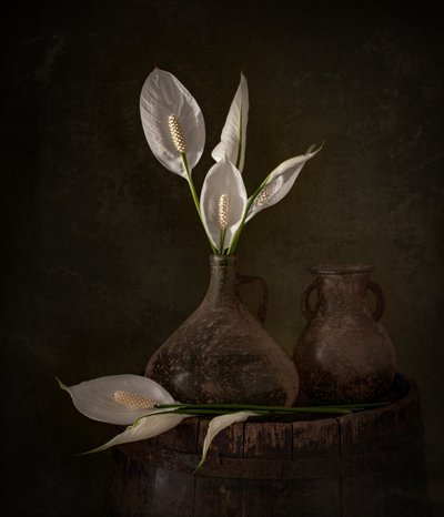 Lirios de la paz de Moody de Margareth Perfoncio