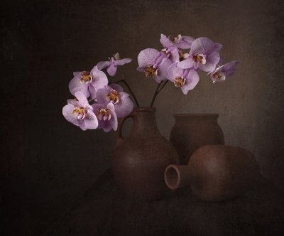 Naturaleza muerta con orquídeas moradas de Margareth Perfoncio
