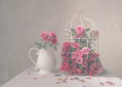 Rosas y jaula de pájaros de Margareth Perfoncio