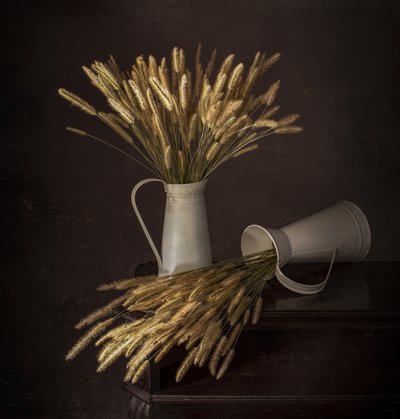 Plumas y jarras rústicas de Margareth Perfoncio