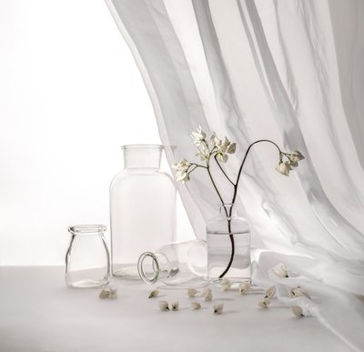 Naturaleza muerta floral en blanco de Margareth Perfoncio
