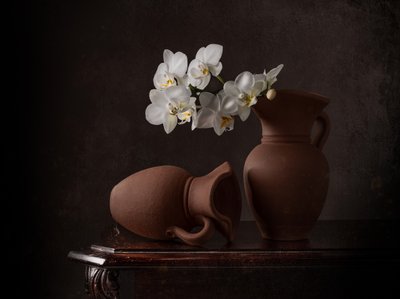  de Margareth Perfoncio