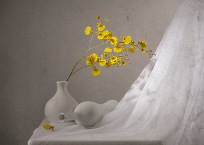 Naturaleza muerta con orquídeas amarillas de Margareth Perfoncio
