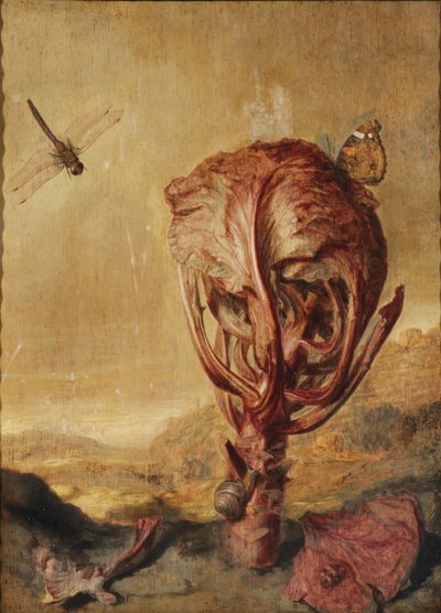 Un repollo rojo, un caracol, una mariposa, una libélula, una abeja y una cochinilla en un paisaje de Margarethe de Heer