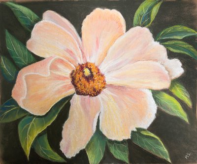 Peonía grande, 2022 (pastel) de Margo Starkey