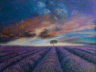 Campos de lavanda de Normandía de Margo Starkey