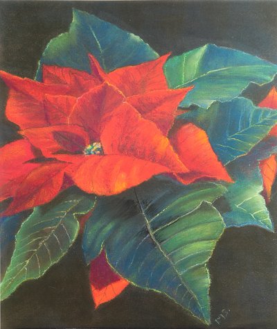 Flor de Pascua, 2022 (pastel) de Margo Starkey
