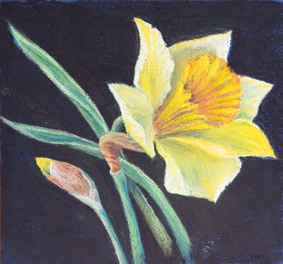 La belleza de un narciso, 2021 de Margo Starkey