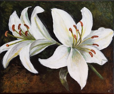 Lirio blanco, 2022 (pastel) de Margo Starkey